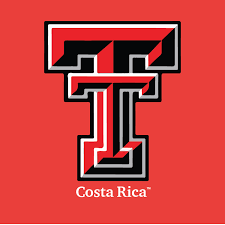 Kitchen Lab Kimberly Clark-Participante adicional